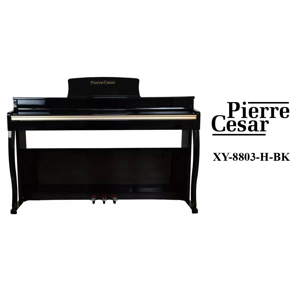 Pierre Cesar XY-8803-H-BK