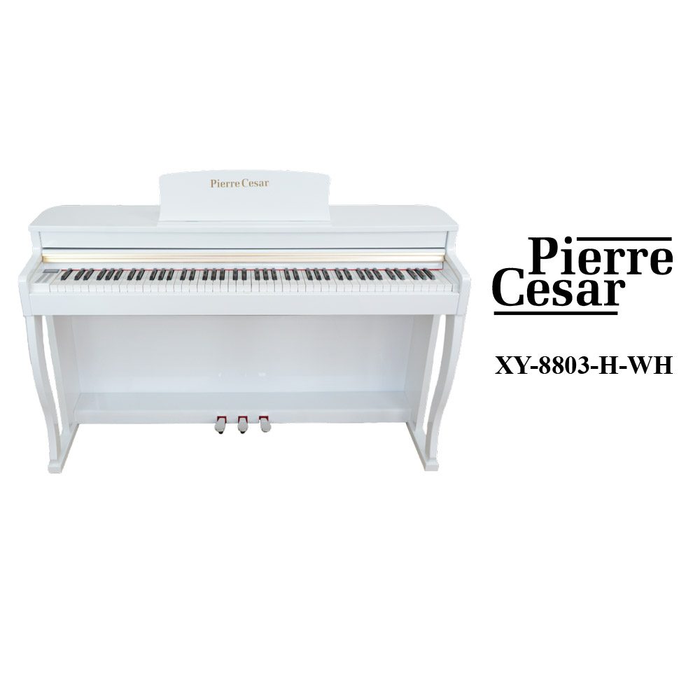 Pierre Cesar XY-8803-H-WH